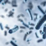 Unión Europea: Salmonella la causa más común de brote trasmitido por alimentos