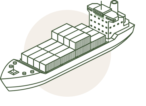 Exportación